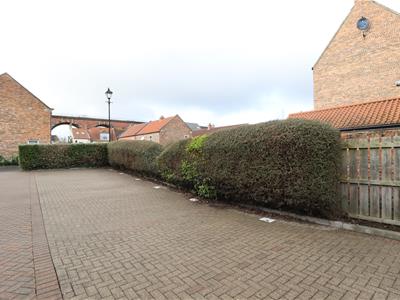 Picture 12